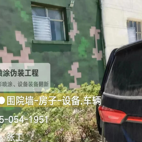 怒江数码迷彩漆施工